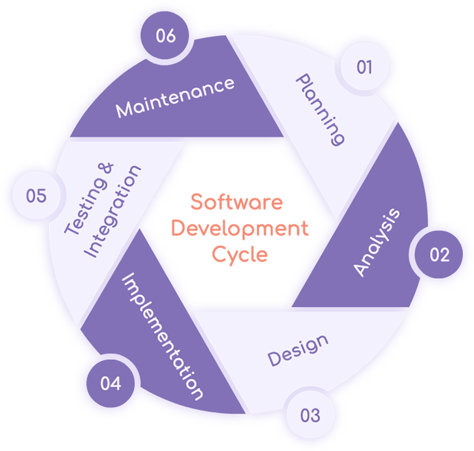 software & web developement life cycle